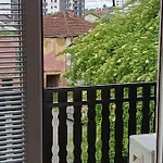 Urban Oasis In 察津